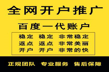 百度SEM竞价推广，案例解析转化率提升秘诀